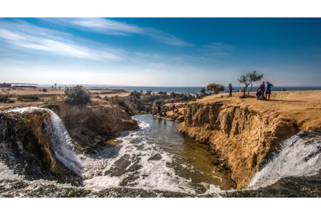 Fayoum Desert Adventure