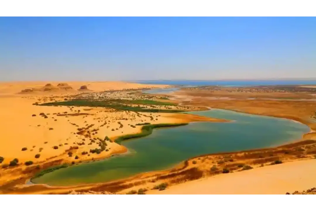 Fayoum-Egypt