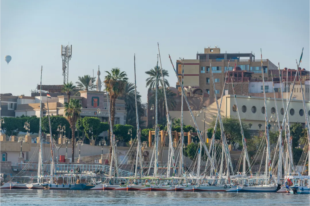 pexels-diego-f-parra-33199-15131542