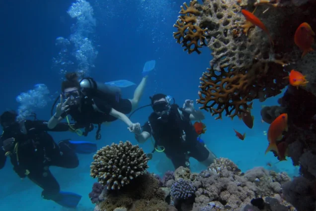 Diving Adventure – Red Sea